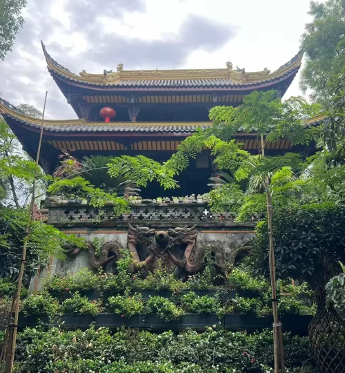 forest-tall-temple-chengdu